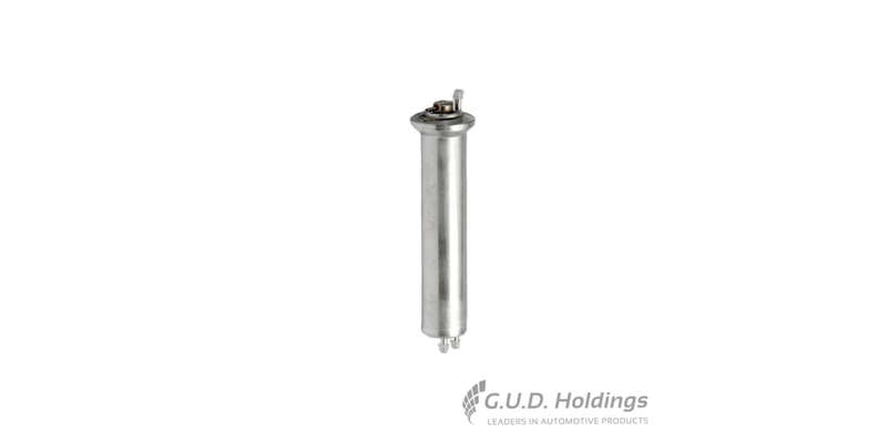 Fram Petrol Filter R Bmw X Series G9334