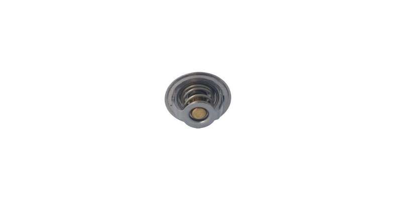 Hella Thermostat (Vt217.82)