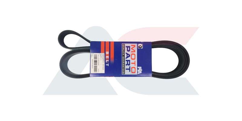 Micro-V-Belt Dodge (6PK1955M)