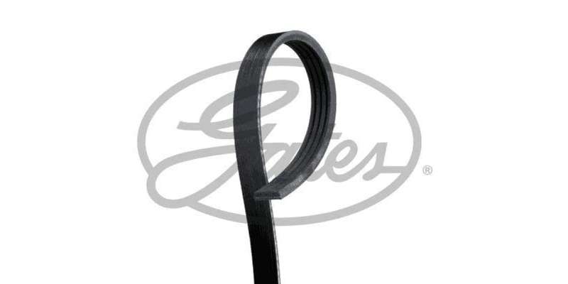 Multi-V Belt (4PK1755) [Gates ]