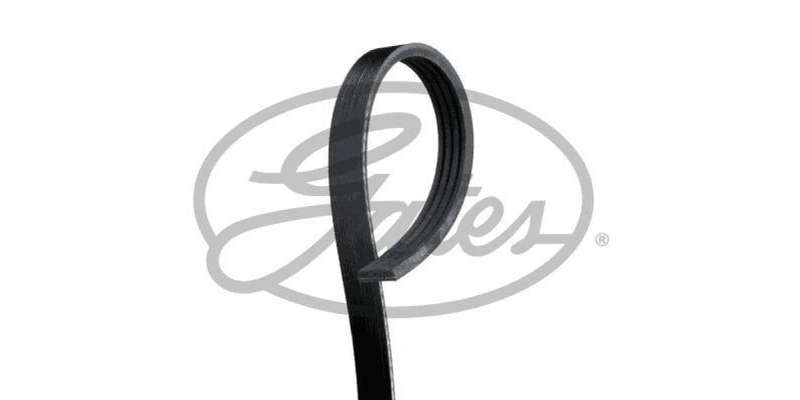 Multi-V Belt (4PK668) [Gates ]