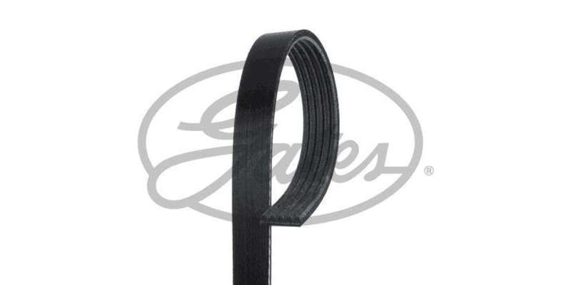 Multi-V Belt (5PK1210) [Gates ]