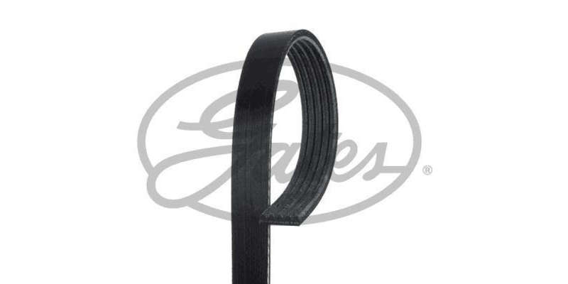 Multi-V Belt (5PK848) [Gates ]