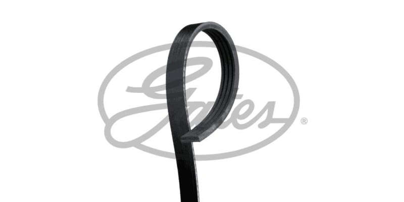 Multi-V Belt (5PK903) [Gates]