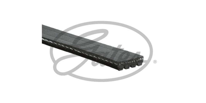 Multi-V Belt (5PK903) [Gates]