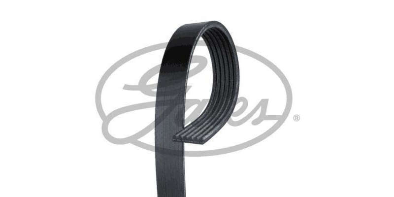 Multi-V Belt (6PK2030) [Continental]