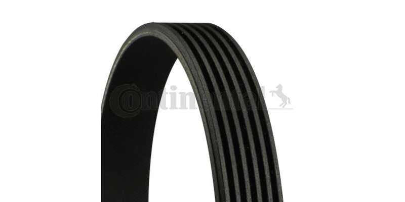 Multi-V Belt (6PK2225) [Continental]