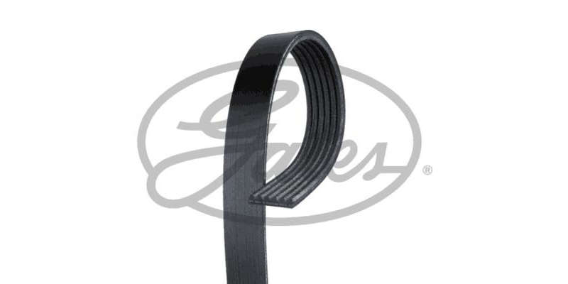 Multi-V Belt (6PK2238) [Gates]
