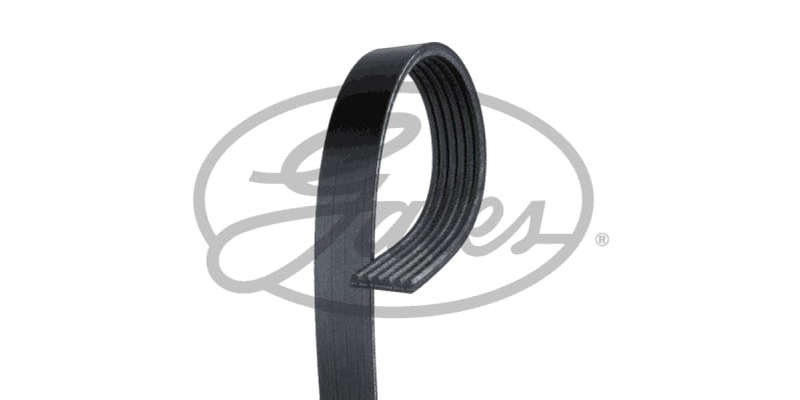 Multi-V Belt Renault/Nissan K4m 1.6 16v