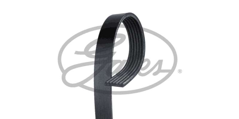 Multi-V Belt Renault/Nissan K4m 1.6 16v