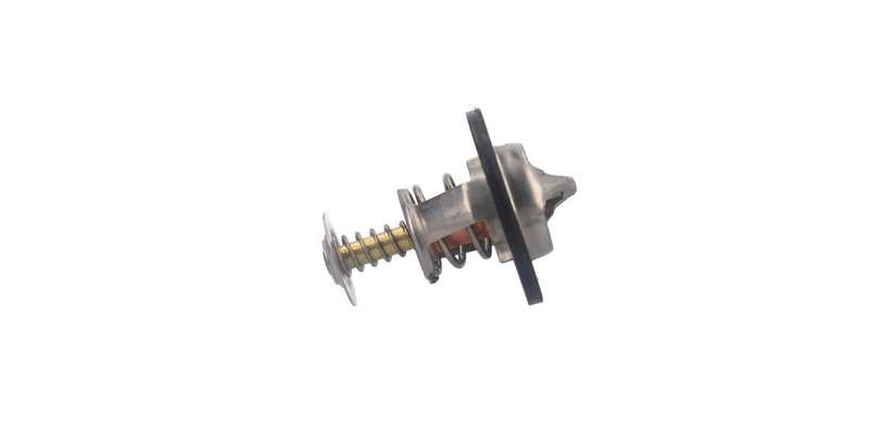 Neptune Thermostat & Housing 89°C (Th66001)