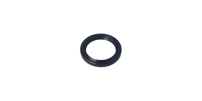 Os425607M Oil Seal (Pegasus)