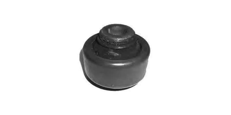 Peugeot 206 Front Lower Control Arm Bush