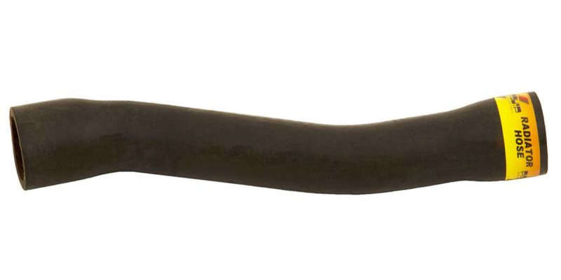 Radiator Hose (Lower) Bmw 320I (99-01)