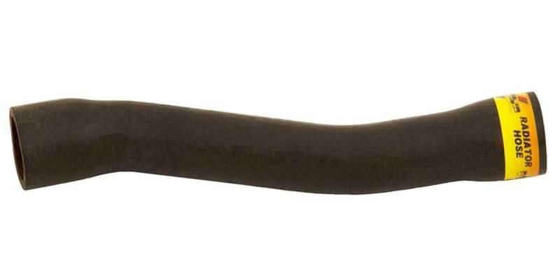 Radiator Hose (Lower) Bmw 320I (99-01)