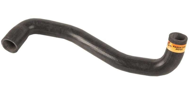 Radiator Hose (Lower) Nissan Hardbody 3.2 Sl, S/Cab, 01-03 3.2D (98-08)
