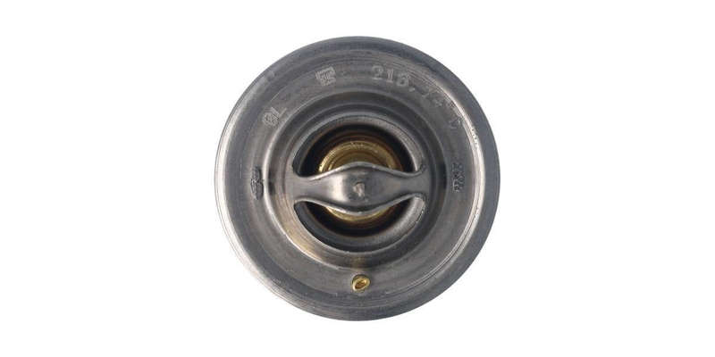 Thermostat - 74C (Vt218.74)
