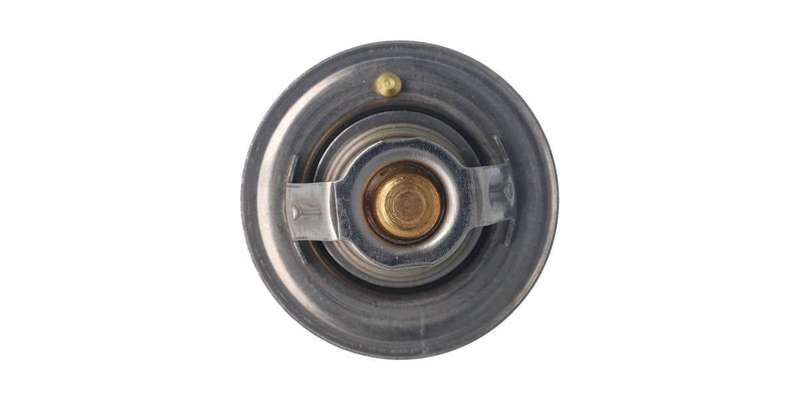 Thermostat - 74C (Vt218.74)