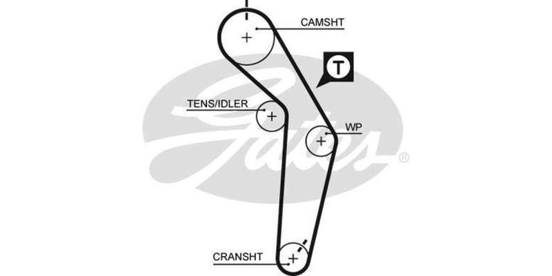 Timing Belt Audi 500E (Pr,Aar)