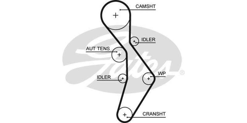 Timing Belt Audi A3,A4,S3,Tt,Vw Eos,Golf 5,6,Jetta,Passat,Scirocco (Cdlc,Cczb,Axx,Bwa,Blx,Blr)