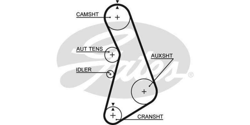Timing Belt Audi A4,Vw Passat (Adr,Aeb)