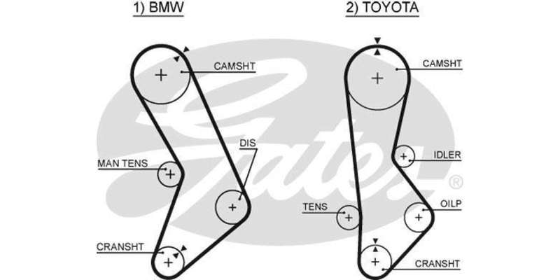 Timing Belt Bmw 320I,520I,Toyota Crssida (M20B20,1G-Eu)