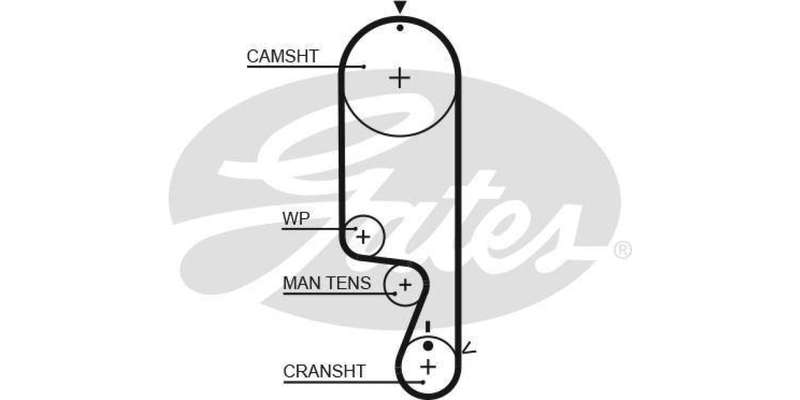 Timing Belt Chev Spark,Daewoo Matiz,Mitsubishi Lancer (4G18,F8C,B10S1)