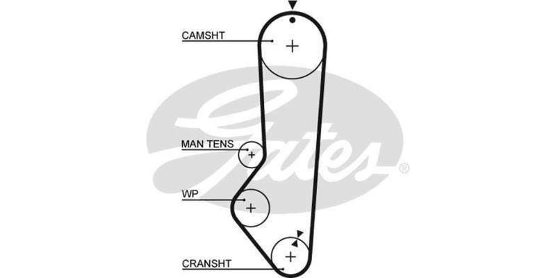 Timing Belt Ford Escort 1.3Gl,Fiesta (Cvh,Endura)