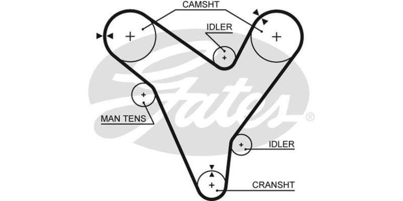 Timing Belt Ford Telstar,Mazda 626 (Kf,Kl)