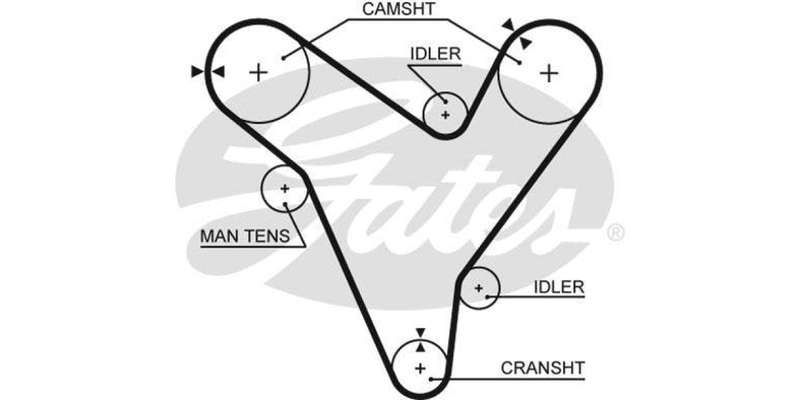 Timing Belt Ford Telstar,Mazda 626 (Kf,Kl)