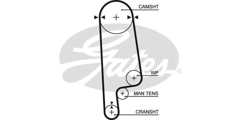 Timing Belt Honda 1300 Ballade,Honda 150 (En4,Ev,Ew2)