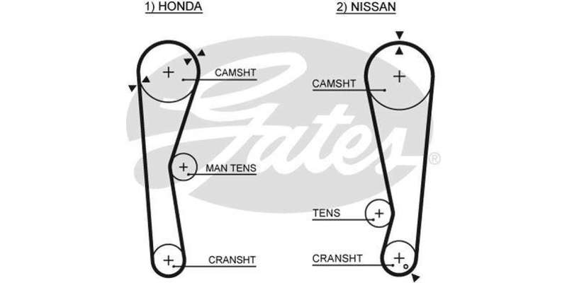 Timing Belt Honda 1300 Ballade (En4)