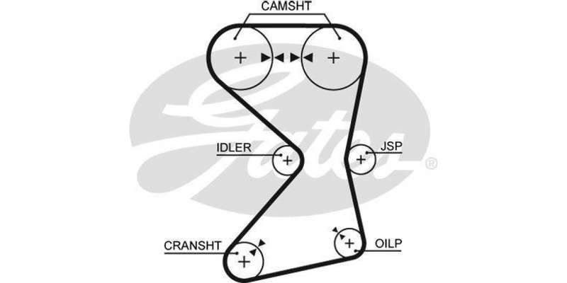 Timing Belt Hyundai Elantra 1.6 Gls G4Cr