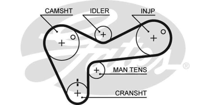 Timing Belt Isuzu Frontie,Trooper,Kb250D,Kb280Dt (4Jb1T,4Ja1)