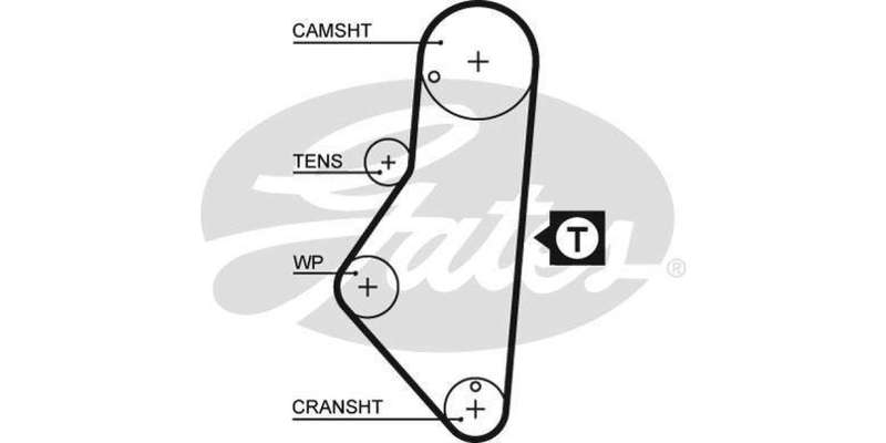 Timing Belt Peugeot 306,405,406,806 (Xu - Series)