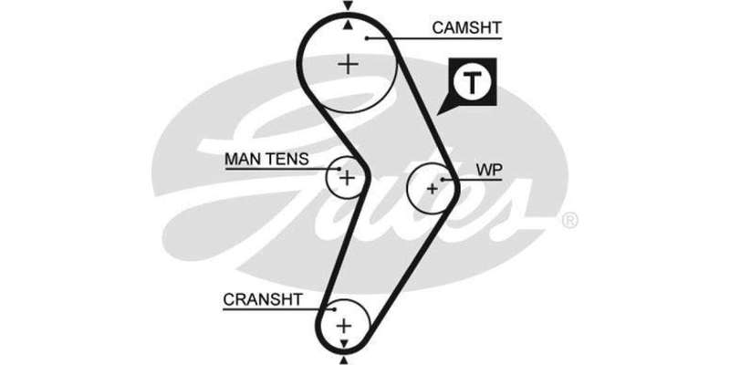 Timing Belt Renault Megane (K7M702)
