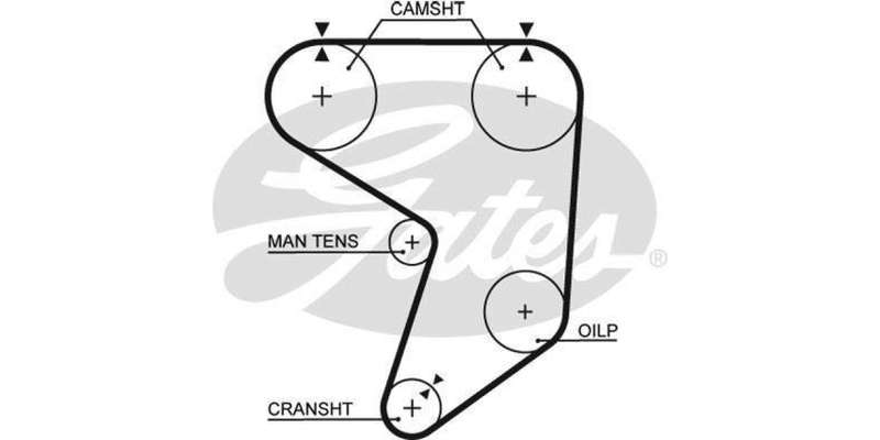Timing Belt Toyota Cressida (7M-Ge)