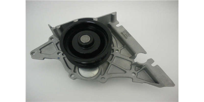 Water Pump Audi A4 V6 30V (Gwvw-16A)