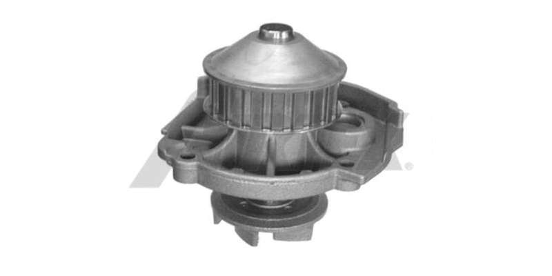Water Pump Fiat 176B4.000 (1523)