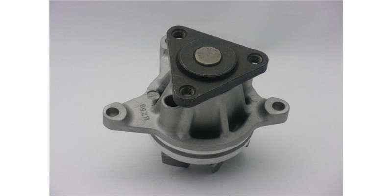 Water Pump Ford Duratec (Gwmz-58A)