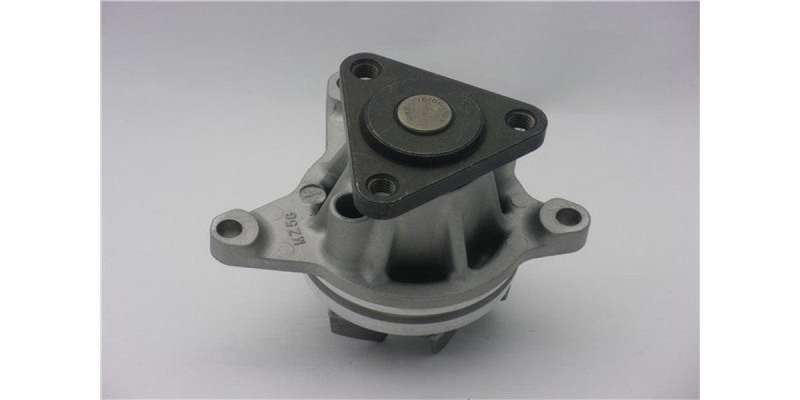 Water Pump Ford Duratec (Gwmz-58A)