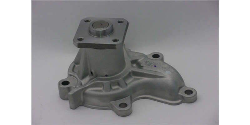 Water Pump Nissan Ca20S (Gwn-31A)