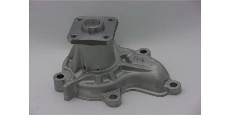 Water Pump Nissan Ca20S (Gwn-31A)