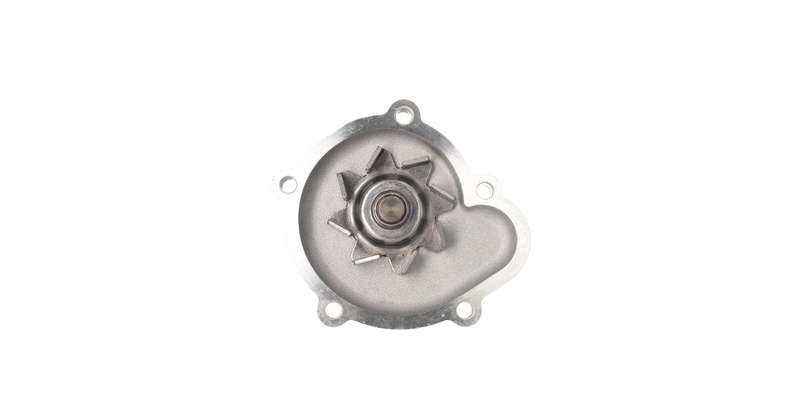 Water Pump for Nissan Sentra, Langley, Pulsar 1.31.6 E-Series (WP60019X)