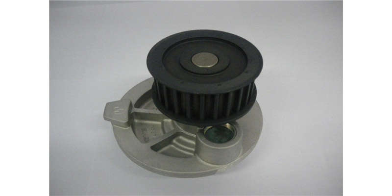 Water Pump Opel X18Xe/X20 (Gwo-18A)