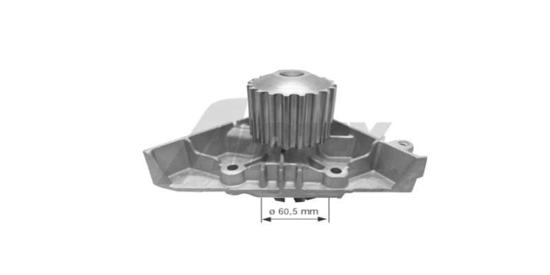 Water Pump Peugeot 206 Ew10J (1691)