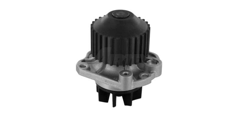 Water Pump Peugeot Es9J4S (1916)