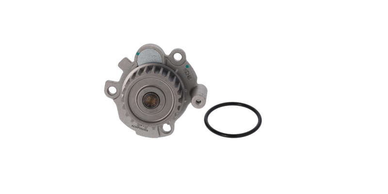 Water Pump Seat Leon Bwa (Wp83056N)