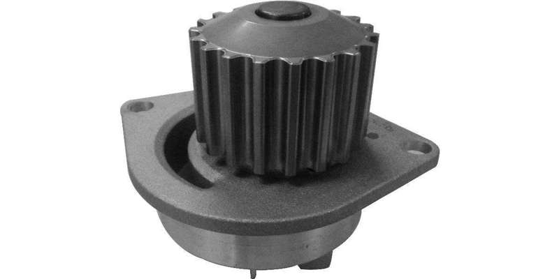 Water Pump (Wp66026X)