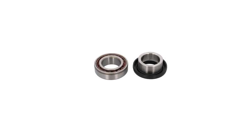 Wheel Bearing Kit Rear Cam Inyathi 2.2I,Ford Cortina,Courier,Huskry,Ranger,Gwm Steed 2.2I,2.4I2.8...